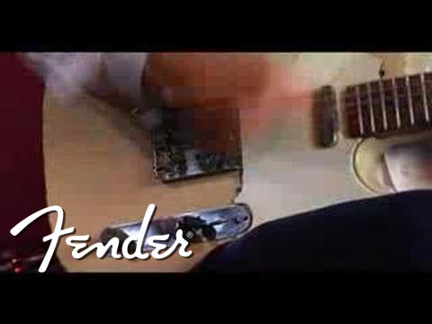 Fender Amplifiers 65 Princeton Reverb Tube Guitar Combo Amplifier, 230V EUR