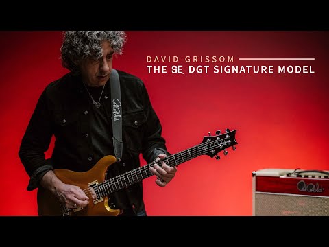 PRS SE DGT David Grissom Signature Solidbody Electric Guitar, Gold Top