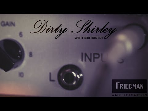 FRIEDMAN DIRTY SHIRLEY 40 - 40-WATT TUBE HEAD