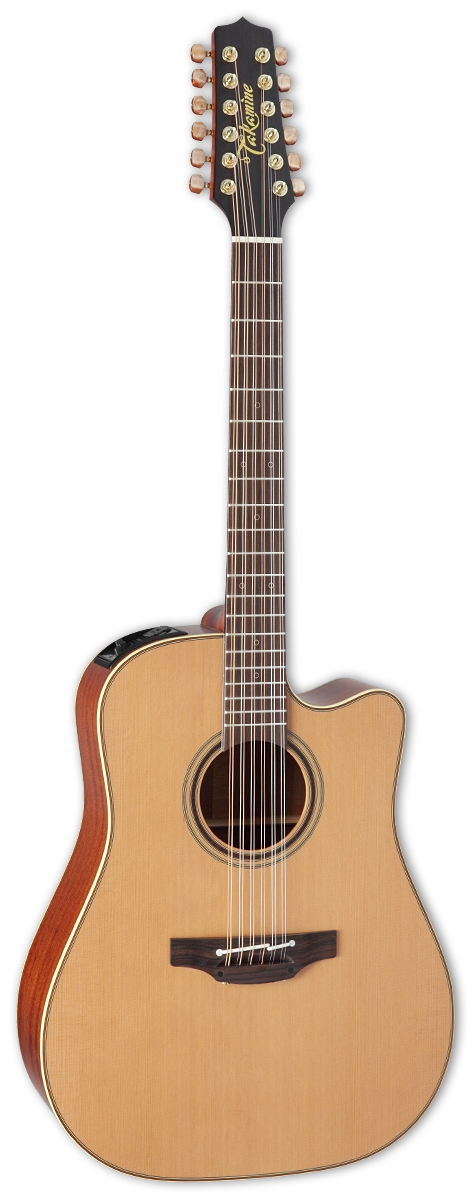 TAKAMINE PRO P3DC 12-STRING DREADNOUGHT SEMI ACOUSTIC-ELECTRIC GUITAR (JAPAN IMPORT) |  TAKAMINE |  ACOUSTIC GUITAR |  Zoso Music