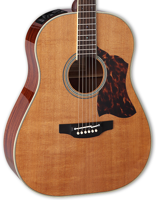 TAKAMINE CRN-TS1 THERMAL TOP PRO SERIES DREADNOUGHT ACOUSTIC-ELECTRIC GUITAR, CT4BII PREAMP & HARD CASE (MADE IN JAPAN) |  TAKAMINE |  ACOUSTIC GUITAR |  Zoso Music