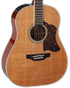 TAKAMINE CRN-TS1 THERMAL TOP PRO SERIES DREADNOUGHT ACOUSTIC-ELECTRIC GUITAR, CT4BII PREAMP & HARD CASE (MADE IN JAPAN) |  TAKAMINE |  ACOUSTIC GUITAR |  Zoso Music