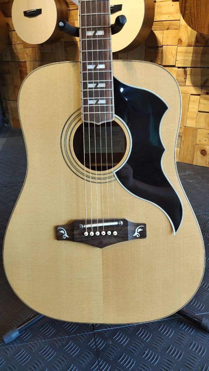DISPLAY CLEARANCE - EKO RANGER VI CUSTOM FL | EKO , Zoso Music