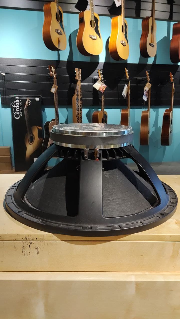 DISPLAY CLEARANCE - TK AUDIO 18" DRIVER | TK AUDIO , Zoso Music