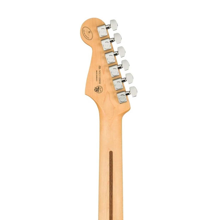 Fender Ltd Ed Player Stratocaster Electric Guitar, Pau Ferro FB, Surf Green |  FENDER |  ELECTRIC GUITAR |  Zoso Music