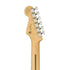 Fender Limited Edition Player Stratocaster Electric Guitar, Ebony FB, Neon Green |  FENDER |  ELECTRIC GUITAR |  Zoso Music