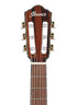 Ibanez FRH10N-BSF Classical Guitar, Brown Sunburst Flat |  IBANEZ |  CLASSICAL GUITAR |  Zoso Music