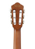 Ibanez FRH10N-BSF Classical Guitar, Brown Sunburst Flat |  IBANEZ |  CLASSICAL GUITAR |  Zoso Music