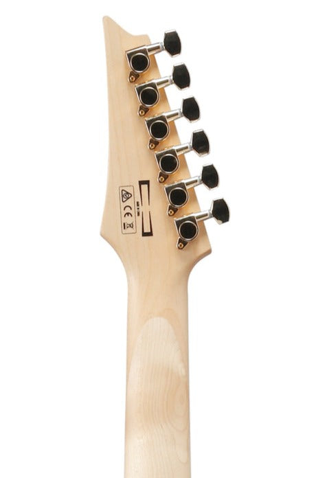 Ibanez Gio Grg220pa-rlb Electric Guitar, Royal Purple Burst |  IBANEZ |  ELECTRIC GUITAR |  Zoso Music