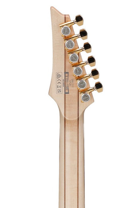 Ibanez Sml721-rgc Electric Guitar