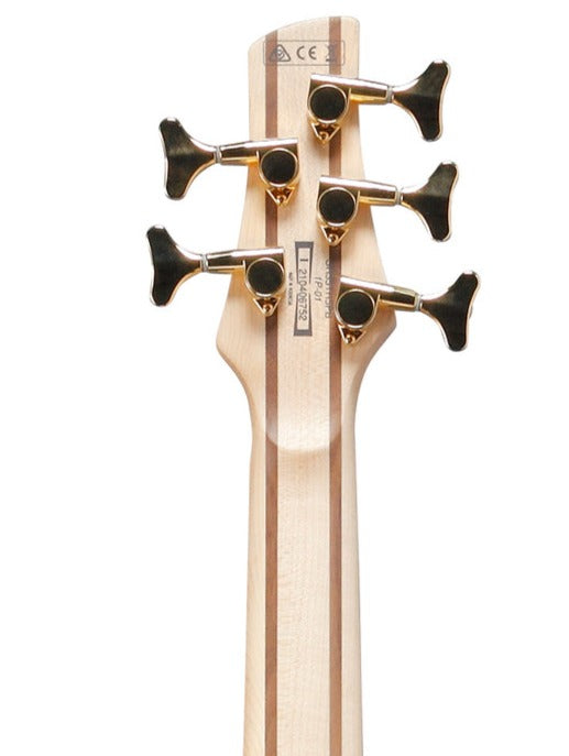Ibanez Sr405epbdx-tsu Electric Bass Guitar 5 String, Tropical Seafloor Burst