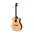 PRS SE Angelus A55E Acoustic Guitar w/Case, Black Gold |  PRS |  ACOUSTIC GUITAR |  Zoso Music