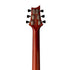 PRS SE Paul's Guitar Electric Guitar w/Bag, Amber |  PRS |  ELECTRIC GUITAR |  Zoso Music