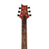 PRS SE Paul's Guitar Electric Guitar w/Bag, Amber |  PRS |  ELECTRIC GUITAR |  Zoso Music