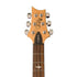 PRS SE Custom 24 Electric Guitar w/Bag, Faded Blue |  PRS |  ELECTRIC GUITAR |  Zoso Music