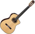 TAKAMINE HIRADE TH-90 CLASSICAL ACOUSTIC-ELECTRIC CUTAWAY NYLON SOLID SPRUCE TOP, CTP3 PREAMP, HARD CASE, MADE IN JAPAN |  TAKAMINE |  ACOUSTIC GUITAR |  Zoso Music