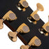 Cort OM-LE Koa Acoustic Guitar EQ With Case Natural | CORT , Zoso Music
